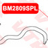 Тяга стабилизатора передней подвески, левая BM2809SPL